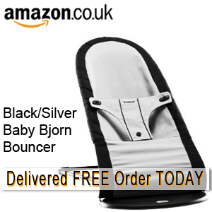 BabyBjorn Bouncer